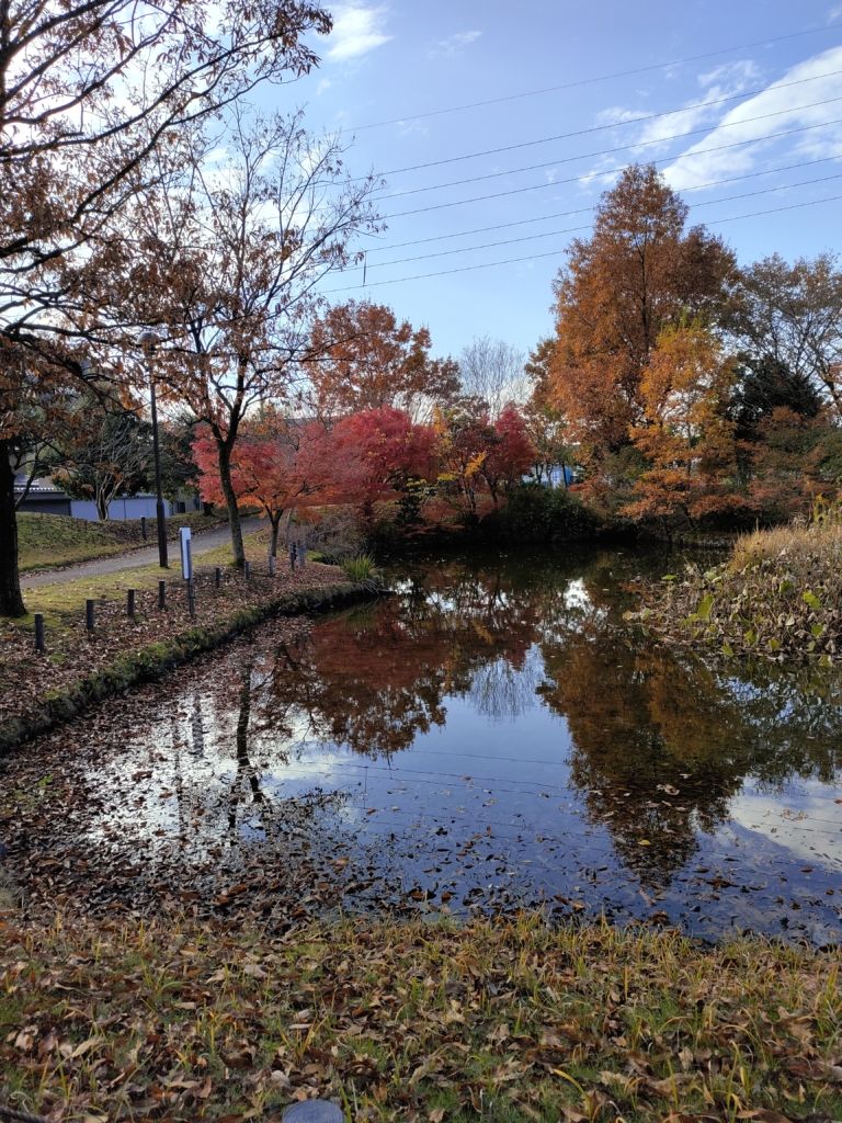 紅葉した木々と大きな池